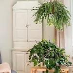 Charming 3br With River Views & Sauna Daire *