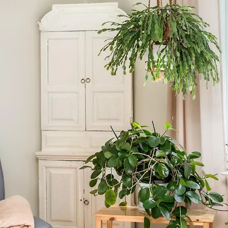 Charming 3br With River Views & Sauna Διαμέρισμα *