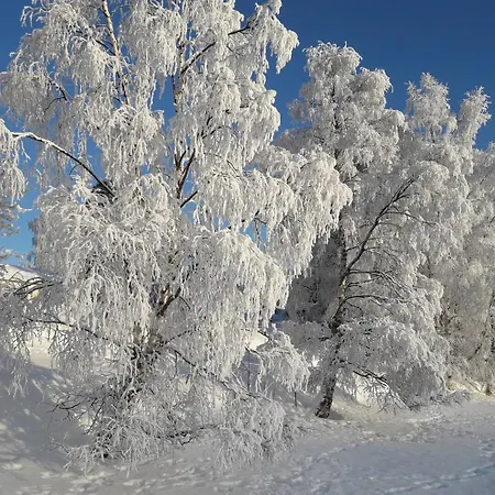 アパート Charming 3br - River Views & Private Sauna *