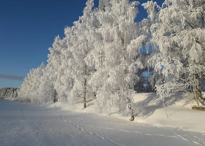 Daire Charming 3Br Home With River Views & Sauna Rovaniemi