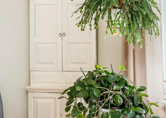 Charming 3Br Home With River Views & Sauna דירה *