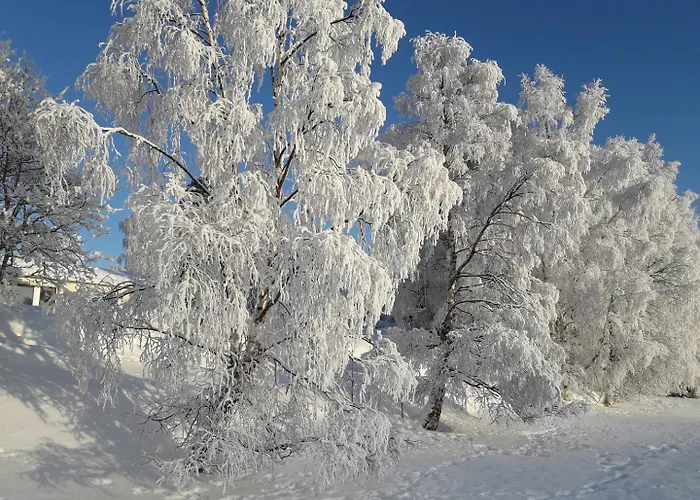 Daire Charming 3Br Home With River Views & Sauna *